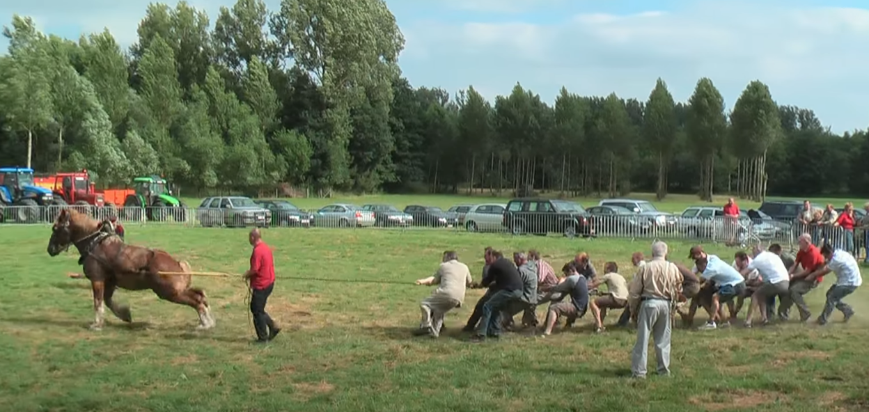1 Horse against 18 men