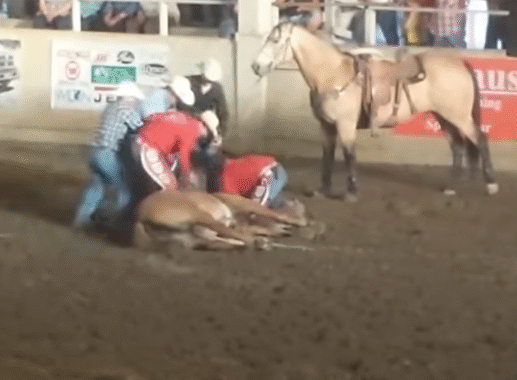 Tragedy at the Rodeo: Horse Fatally Injured During Performance