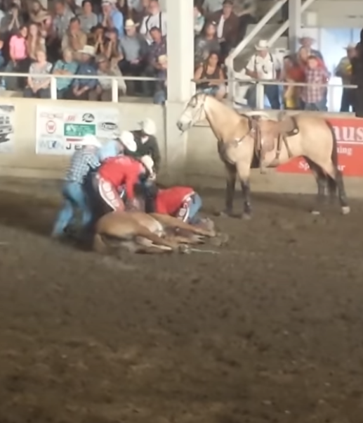 Horse Fatally Injured During Performance