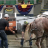 Horse Pull Event, The Big E, Sept. 2024