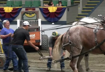 Horse Pull Event, The Big E, Sept. 2024