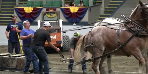 Horse Pull Event, The Big E, Sept. 2024