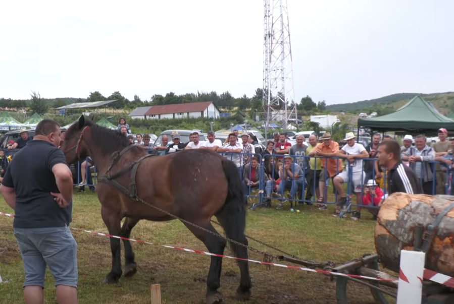 Competition in Gilău, Cluj – July 10, 2021