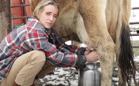 Milking the Cows 2025
