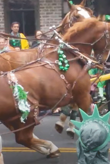 Horses Get Out of Control During St. Patrick’s Day Parade