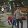 Stanley Park Horses Spooked by Car Horn Take Tourists on Wild Ride