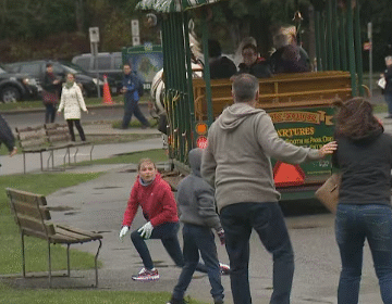 Stanley Park Horses Spooked by Car Horn Take Tourists on Wild Ride