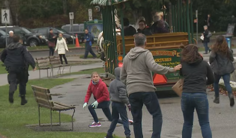 Stanley Park Horses Spooked by Car Horn Take Tourists on Wild Ride