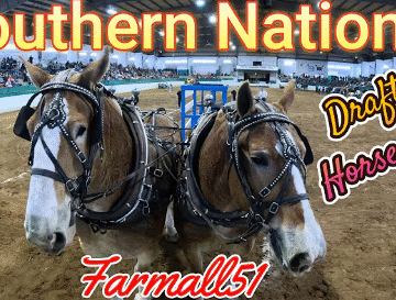 2025 Southern National Draft Horse pull