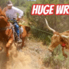 Cattle Drive Gone Wrong!