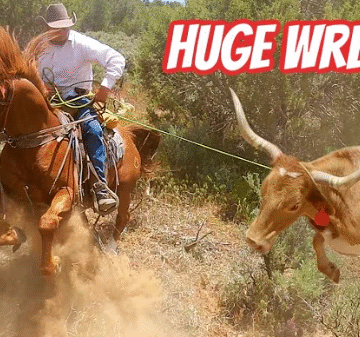 Cattle Drive Gone Wrong!