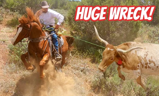 Cattle Drive Gone Wrong!