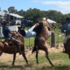 Rodeio COMPLETO in Pelotas, CGRU 2024