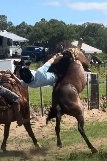 Rodeio COMPLETO in Pelotas, CGRU 2024