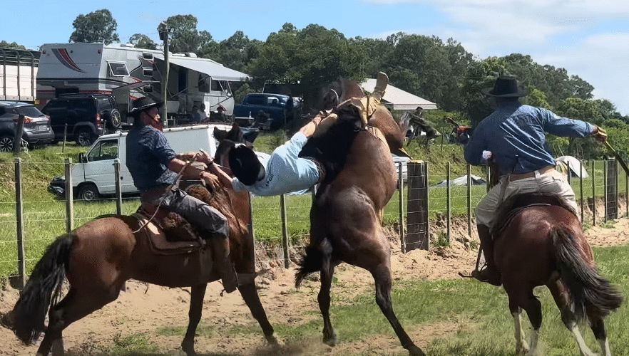 Rodeio COMPLETO in Pelotas, CGRU 2024