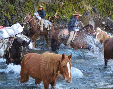 Crossing the Wild River: A Journey with Horses and Riders