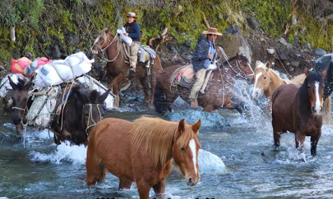 Crossing the Wild River: A Journey with Horses and Riders