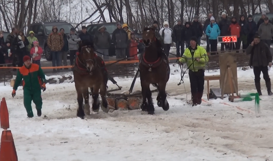 The Enduring Spirit of the Furman: A Glimpse into Kojšov's Horse Logging Competition