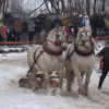 The Enduring Spirit of the Furman: A Glimpse into Kojšov's Horse Logging Competition