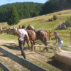 Legends of the Land: The Double Draft Horse Trial of Barcani-Covasna