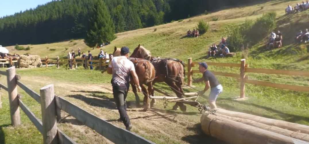 Legends of the Land: The Double Draft Horse Trial of Barcani-Covasna
