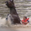 A brave woman leads her horse to safety after swimming together through raging floodwaters. Their story has become a worldwide symbol of courage and love.