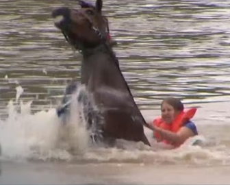A brave woman leads her horse to safety after swimming together through raging floodwaters. Their story has become a worldwide symbol of courage and love.